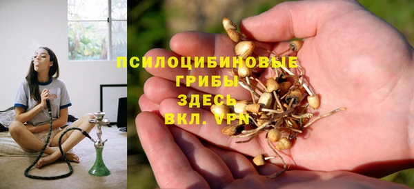 дурь Аркадак