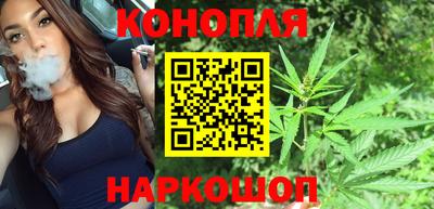 индика Кинель