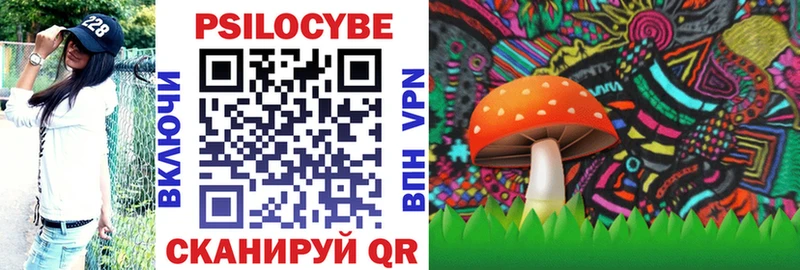 Псилоцибиновые грибы Cubensis Муравленко