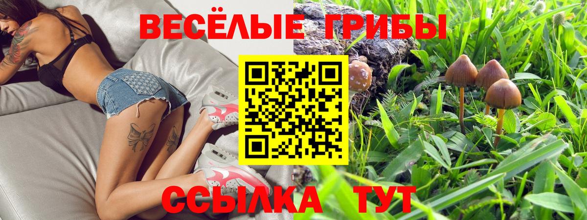 Псилоцибиновые грибы Cubensis  Псилоцибиновые грибы прущие грибы  Вход с VPN  Муравленко 