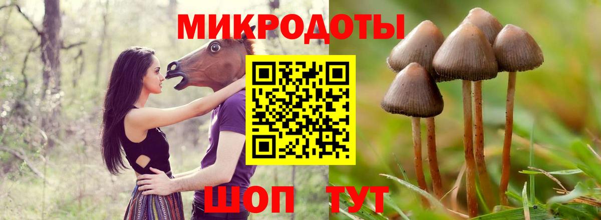 Галлюциногенные грибы GOLDEN TEACHER Муравленко